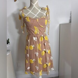 Perfect summer sequin fruit organza tulle dress